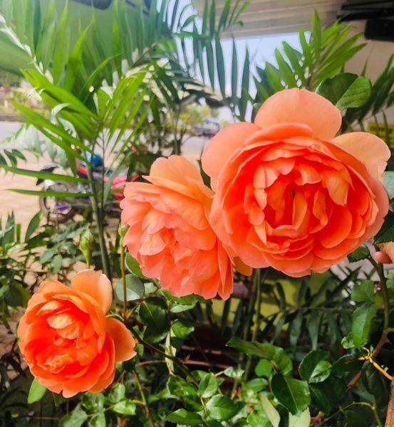 Plei Holang Thu Hien Hotel Pleiku - By Bay Luxury מראה חיצוני תמונה
